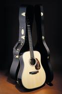 Takamine TF360SBG